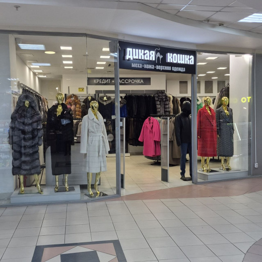 Дикая кошка